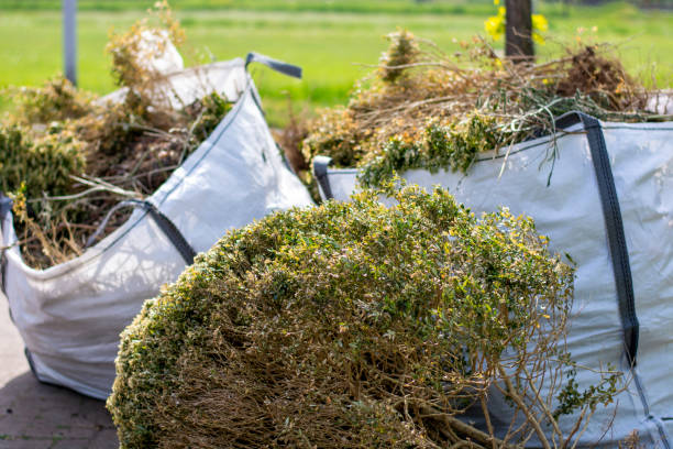 Best Local Junk Hauling  in Neoga, IL
